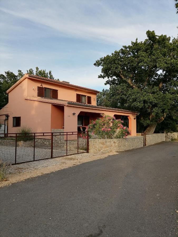 Studio apartman Hrast Seline Exterior foto